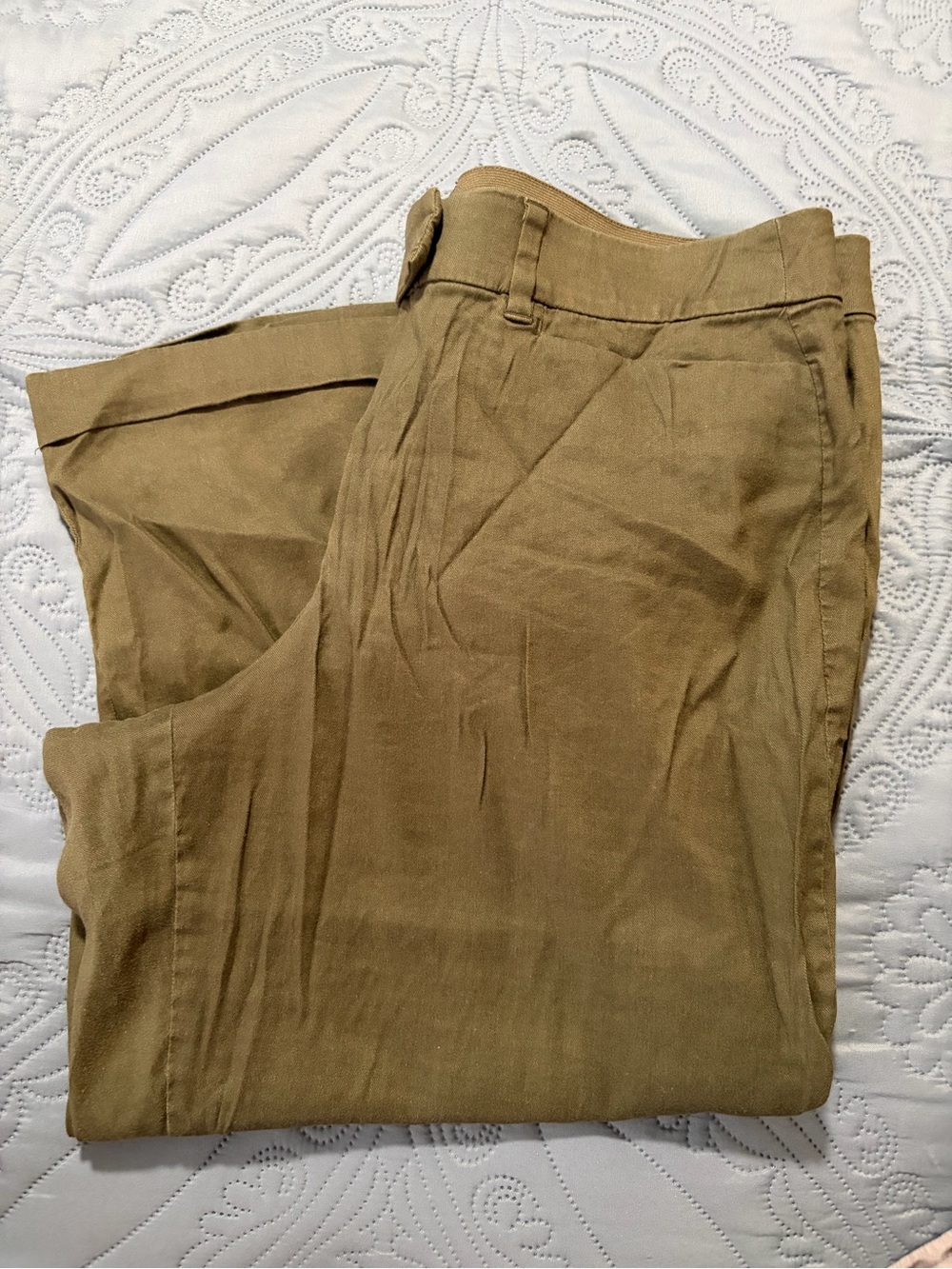 Lane Bryant Men's Chinos in Tan